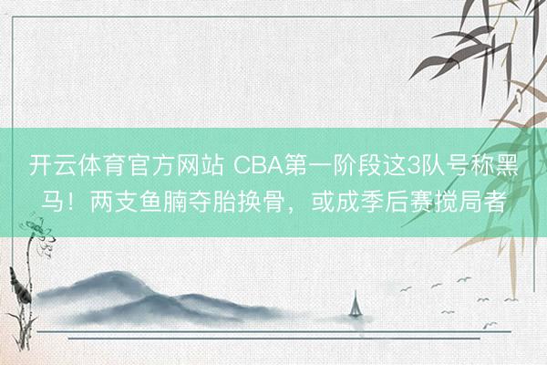 开云体育官方网站 CBA第一阶段这3队号称黑马!两支鱼腩夺胎换骨,或成季后赛搅局者